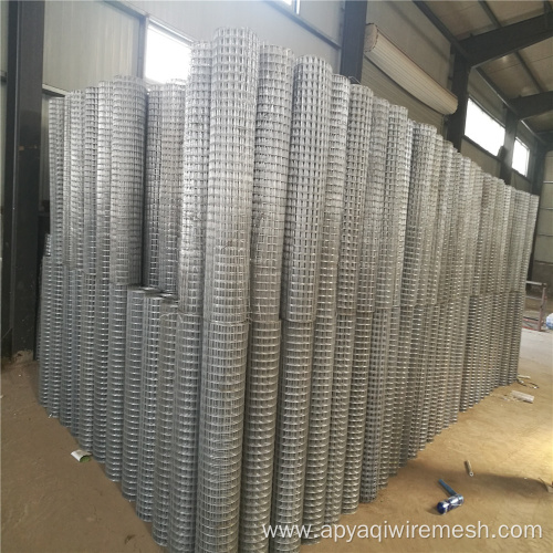 Galvanized Welded Wire Mesh 30m Roll